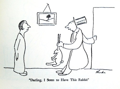 Thurber Rabbit